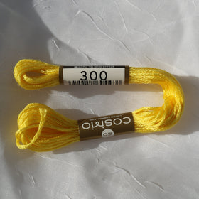 COSMO Size 25 Floss 300
